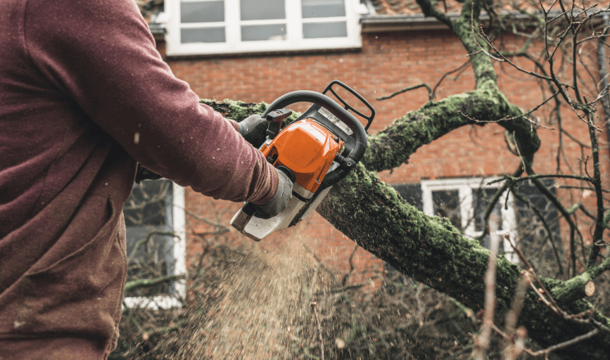 TREE TRIMMING